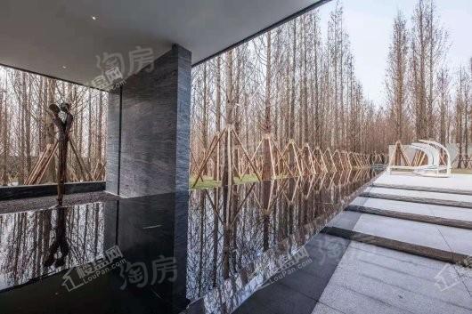 万科森林公园实景图