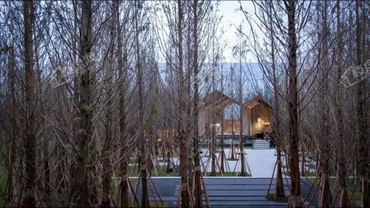 万科森林公园实景图