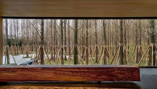 万科森林公园实景图