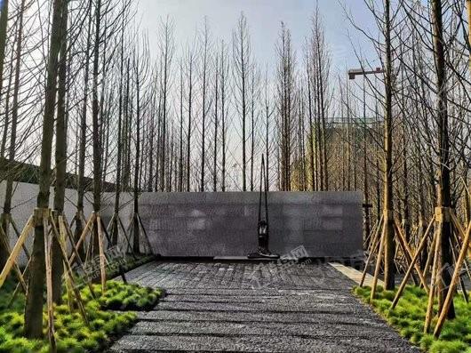 万科森林公园实景图