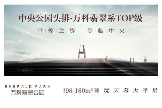 万科翡翠公园效果图