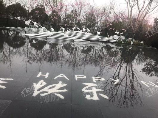 实景图