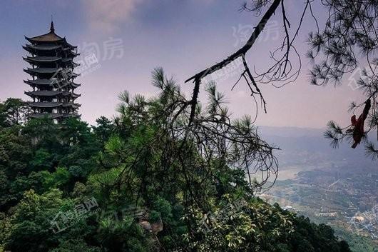 两江曲院风荷配套图