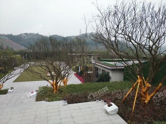 招商·雍璟城实景图