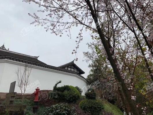 万云府效果图