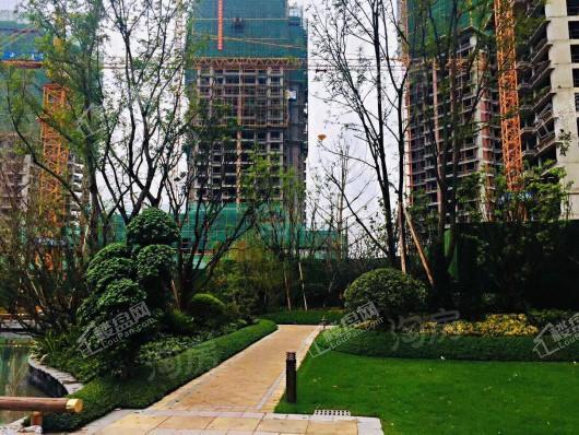恒大林溪郡实景图