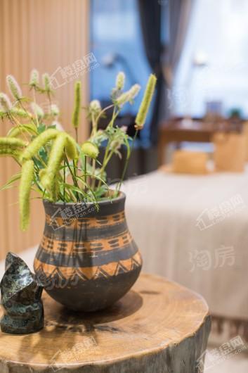 贝蒙松藻中心效果图