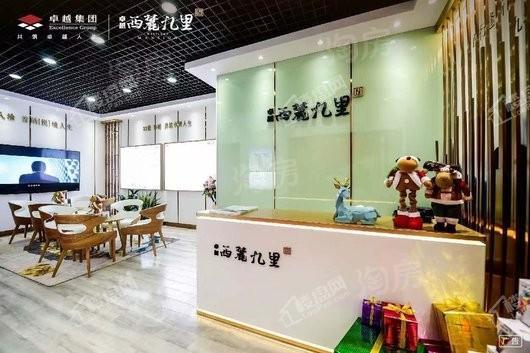 卓越西麓九里实景图