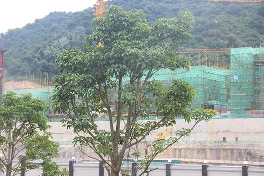 龙湖首开·云峰原著实景图