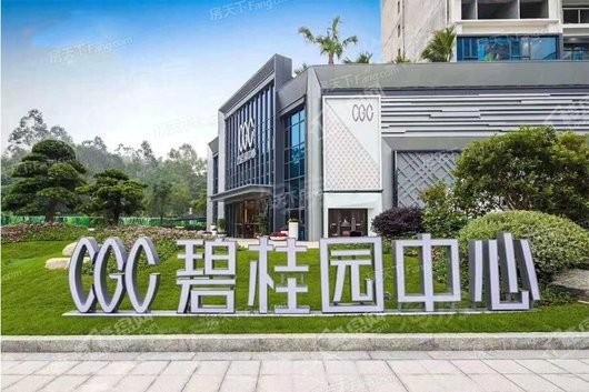 碧桂园中心实景图