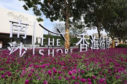 时代香海彼岸（南沙）实景图