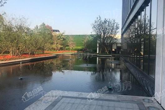 珠江铂世湾实景图