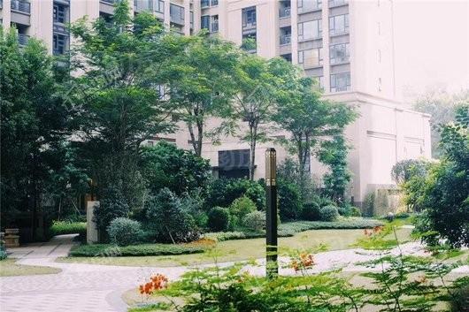 粤海拾桂府实景图