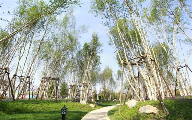 恒大文化旅游城实景图