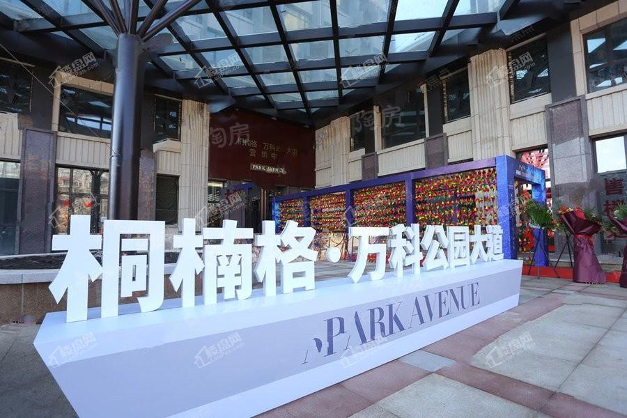 桐楠格·万科公园大道实景图
