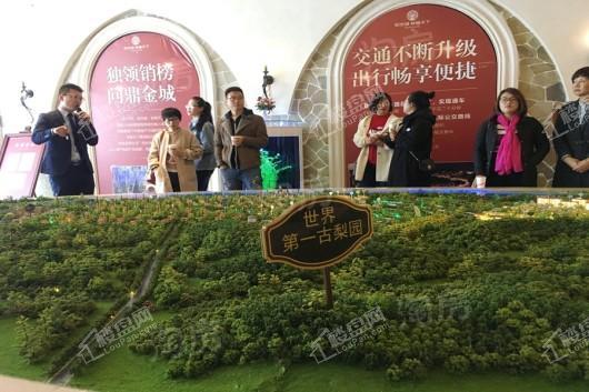 林隐天下实景图