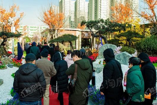 碧桂园朗悦湾实景图