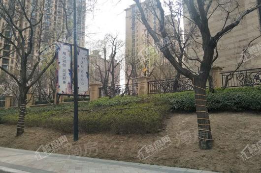 星河湾5号园实景图