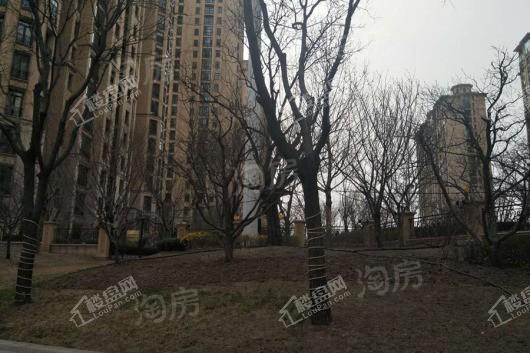 星河湾5号园实景图