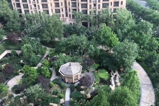 星河湾5号园实景图