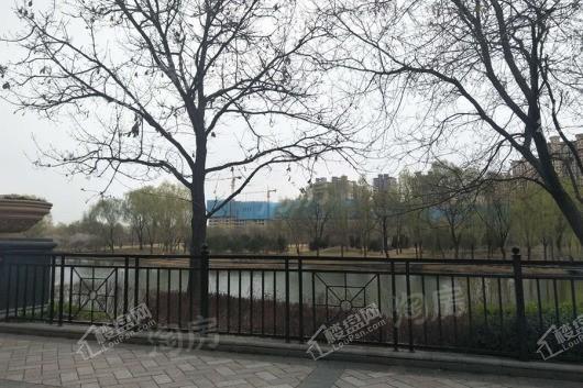 星河湾5号园配套图