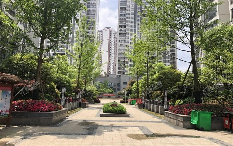 修文 鹭岛国际实景图