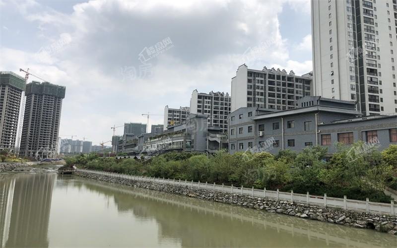 修文 鹭岛国际实景图