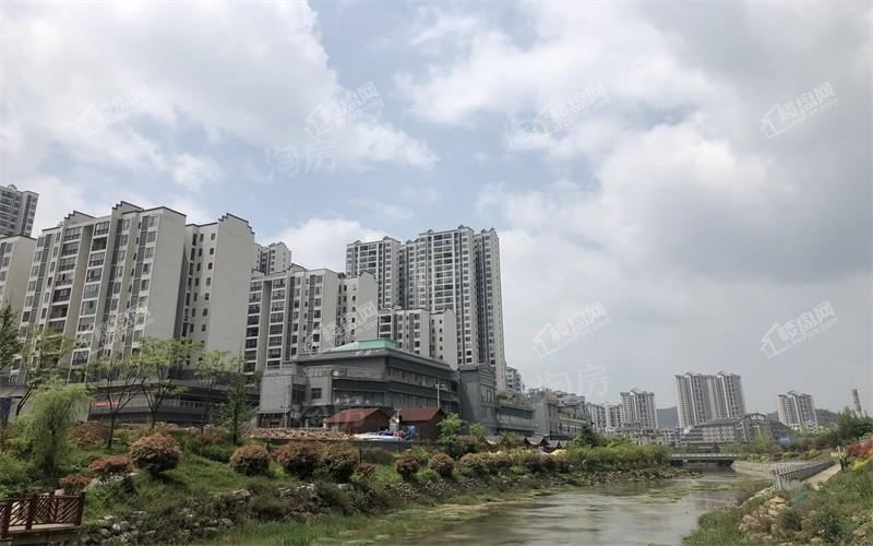 修文 鹭岛国际实景图