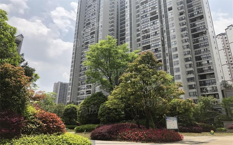 修文 鹭岛国际实景图