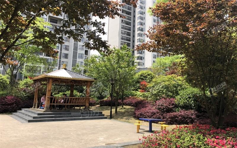 修文 鹭岛国际实景图