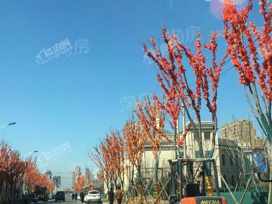 阳光美湖天地实景图