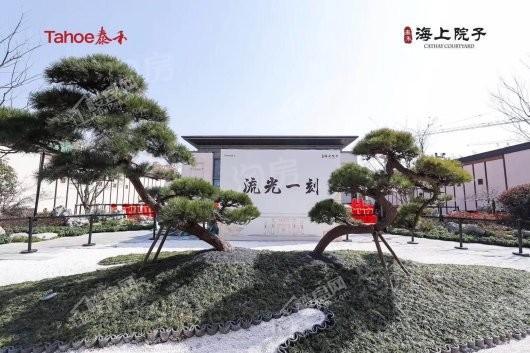 泰禾海上院子实景图