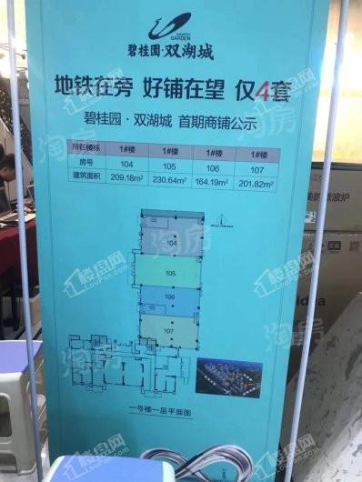 新郑碧桂园双湖城实景图