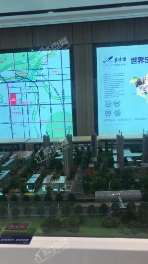 新郑碧桂园双湖城实景图