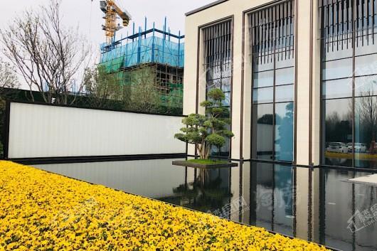 金科天籁城实景图