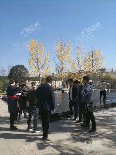 国控碧桂园天澜实景图