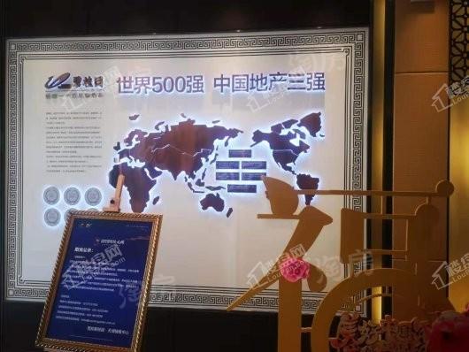 国控碧桂园天澜实景图
