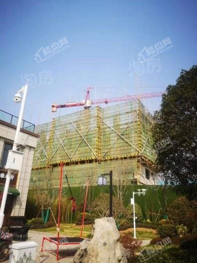 国控碧桂园天澜实景图
