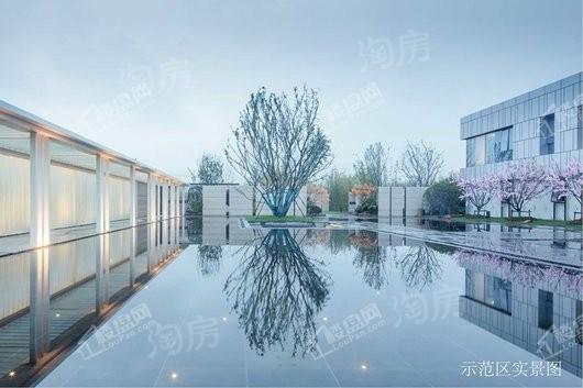 实景图