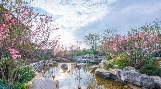 平潭·雍锦湾实景图