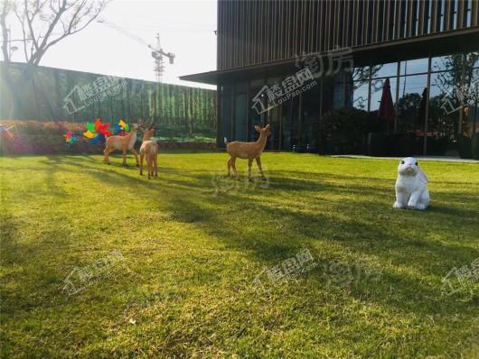 融侨·天越实景图