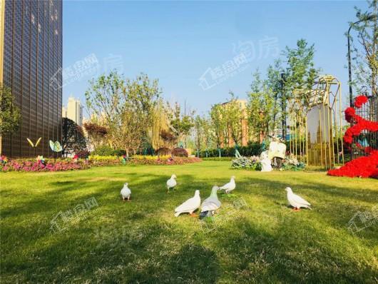 融侨·天越实景图