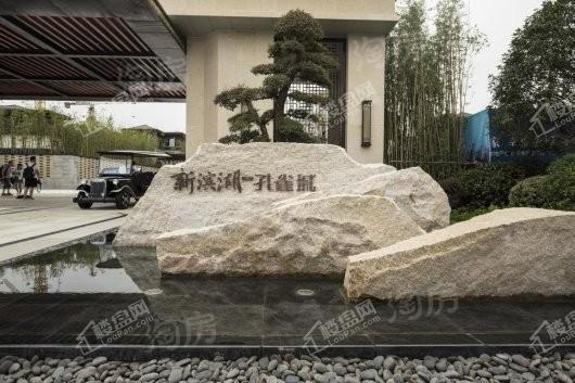 新滨湖·孔雀城实景图