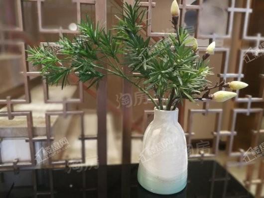 新滨湖·孔雀城实景图
