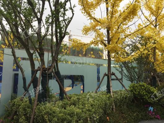 正荣·悦都荟实景图