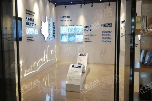 正荣·悦都荟实景图