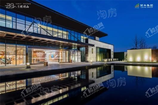 丽丰璞羽山实景图