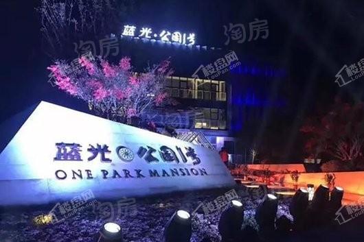 蓝光公园1号实景图