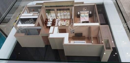 万科苏高新·中央公园实景图