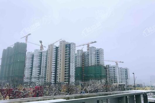 万科苏高新·中央公园实景图